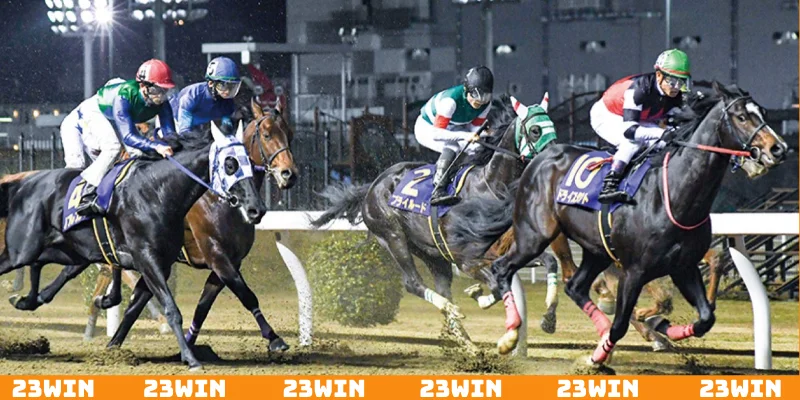 Giới thiệu về đua ngựa 23Win đẳng cấp hàng đầu