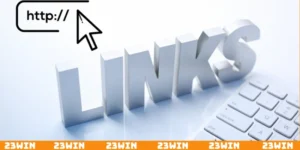 Link 23Win