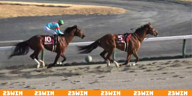 Phân tích người chiến tham gia thi đấu để dự đoán hiệu quả