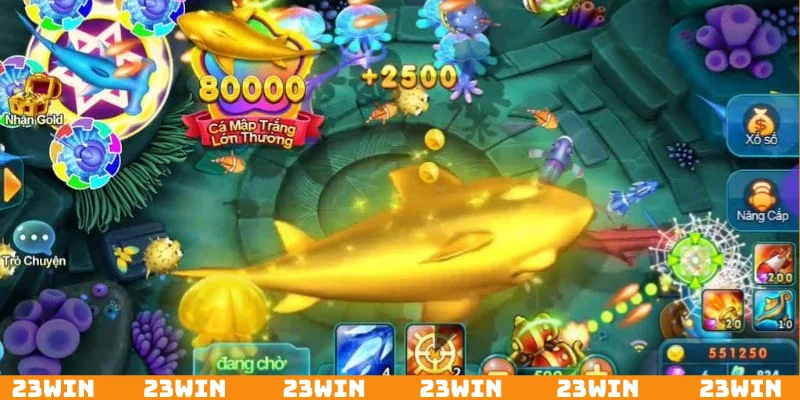 Sinh vật biển có nhiều sự lựa chọn hoàn hảo