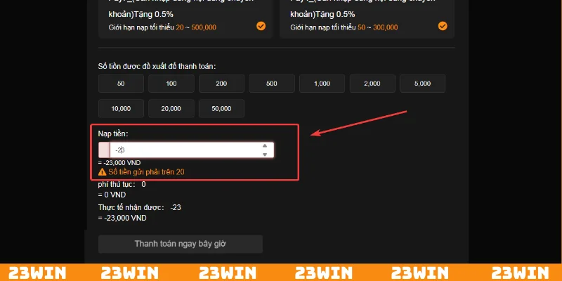 Thanh toán bị lỗi dẫn đến tiền không về tài khoản